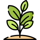 005-plant